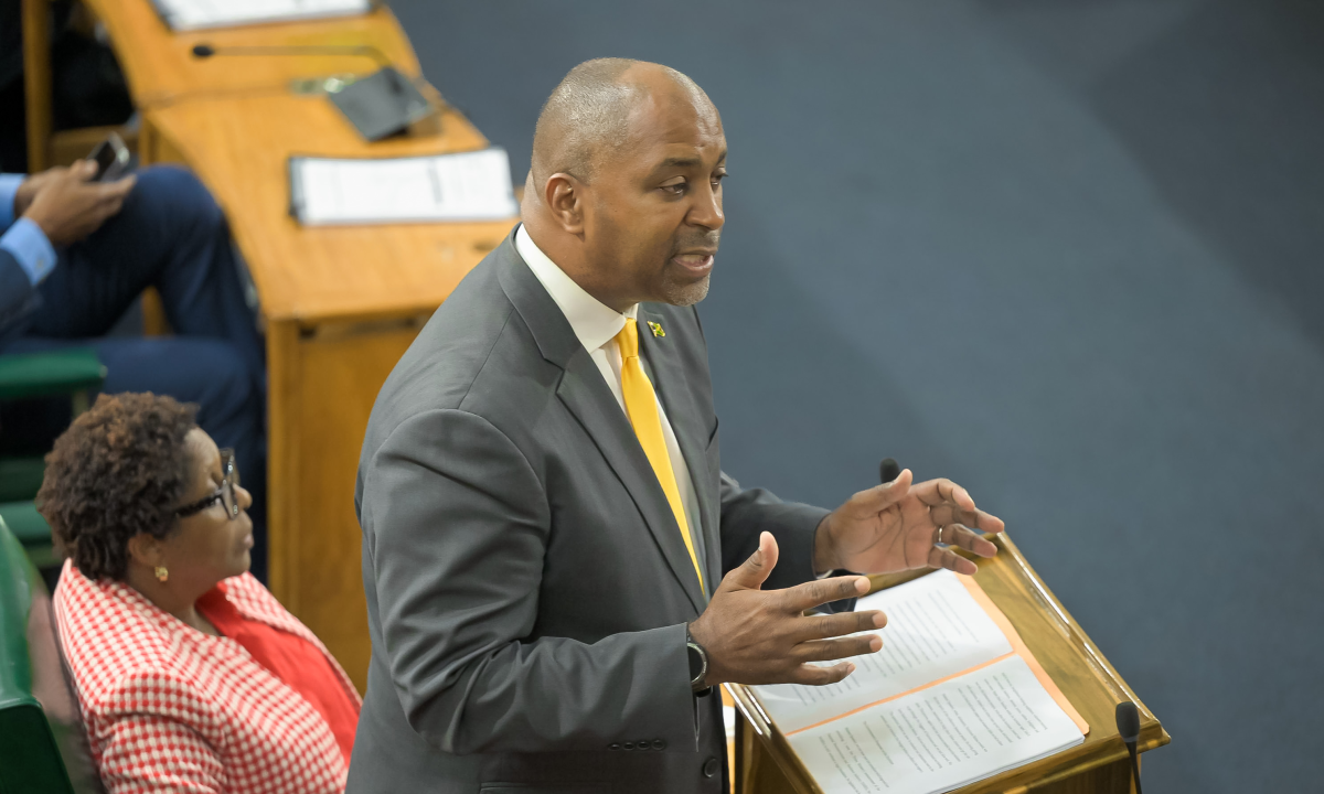 Julian Robinson says govt's rosy picture of economy is fallacious