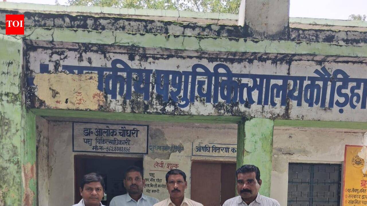 LSD threat looms, Prayagraj gets 48K vaccine doses | Prayagraj News