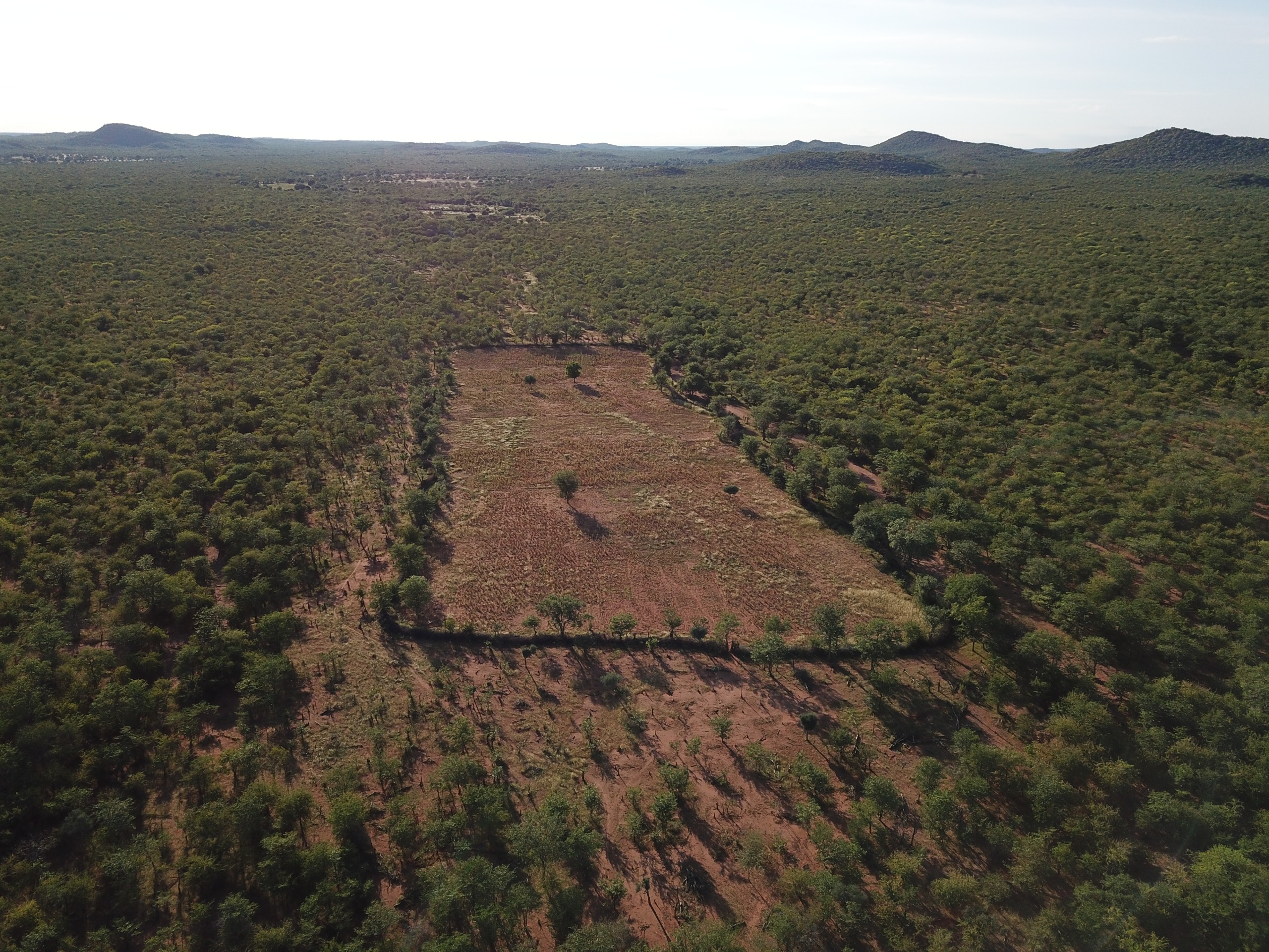 Lack of data hinders fight against environmental crimes in Angola, says environmentalist