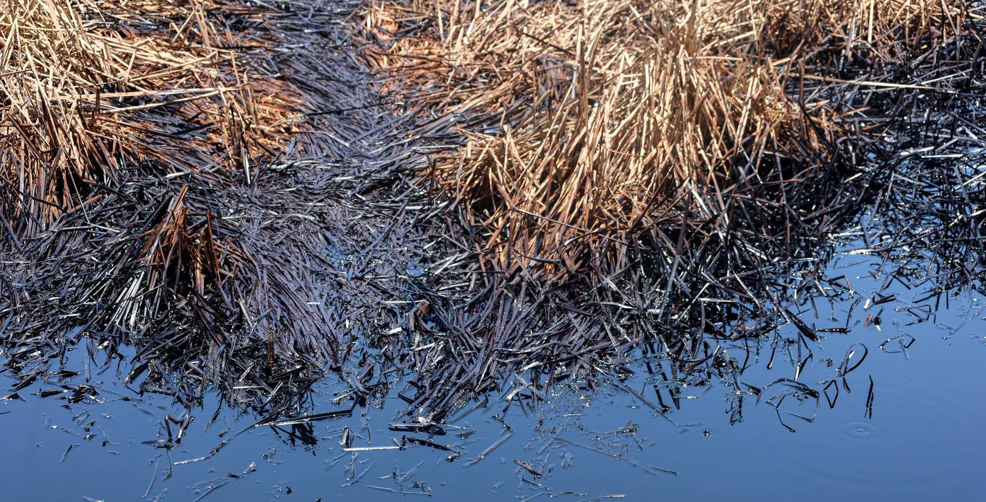 Lawmaker issues 30-day ultimatum to GPOC over dangerous oil waste sites