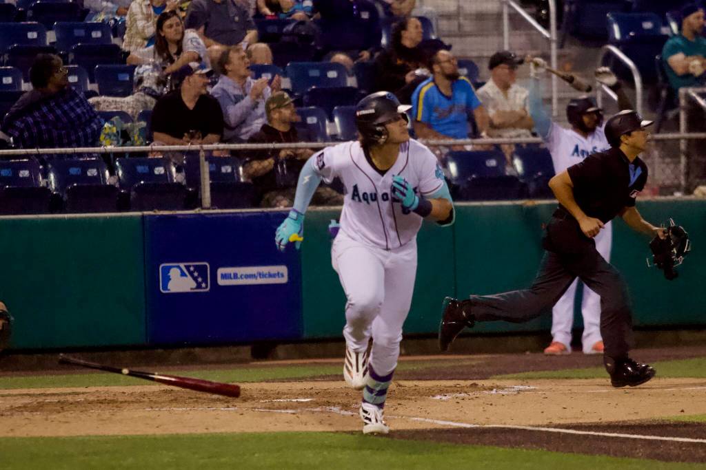 AquaSox infielder Luis Suisbel watches a fly ball off his bat as he runs to first base during Everett’s 10-4 loss to Eugene at Everett Memorial Stadium on Aug. 25, 2026. (Joe Pohoryles / The Herald)