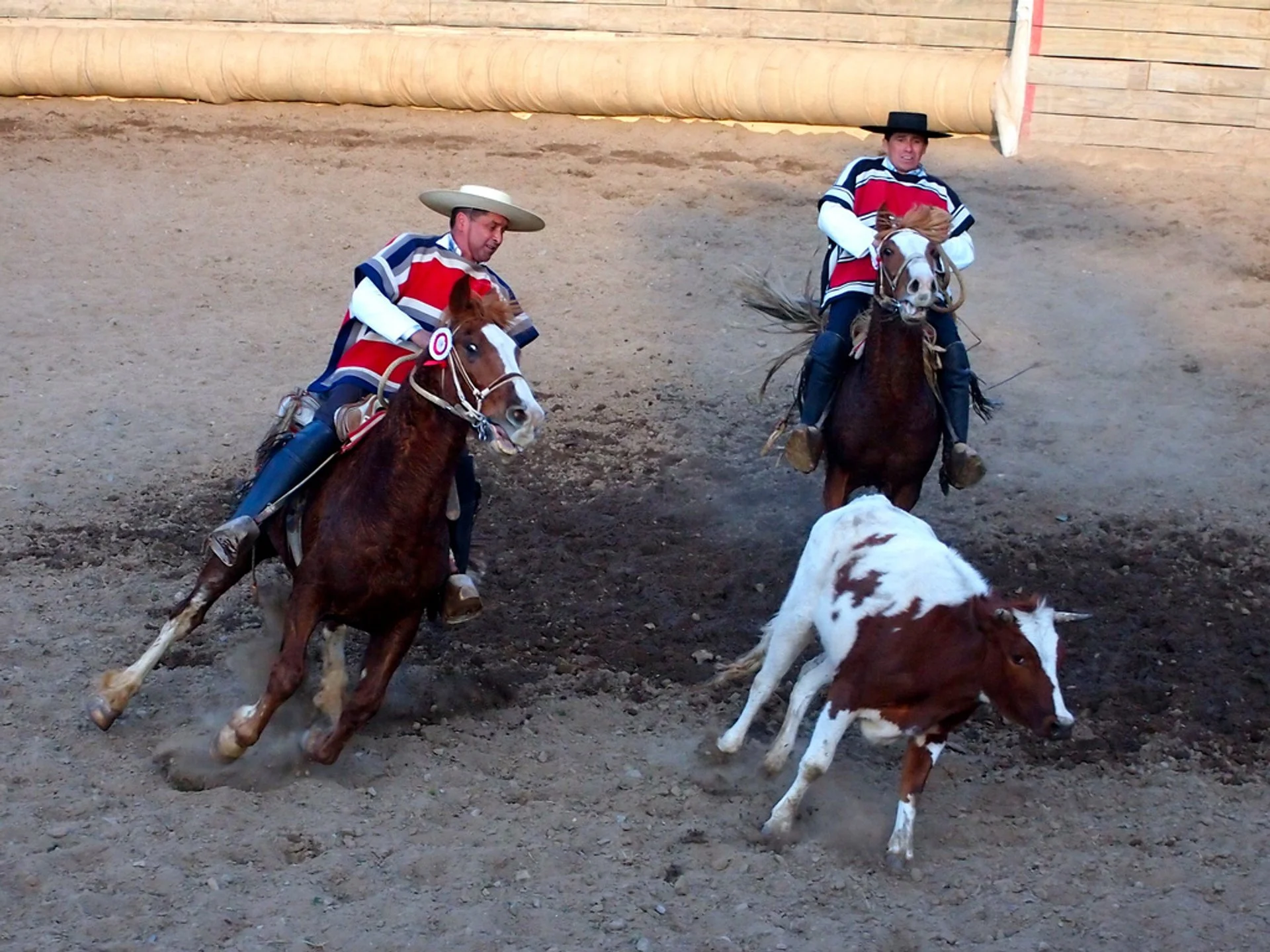 Masculinity & Rodeo During Chile's Independence Festivities