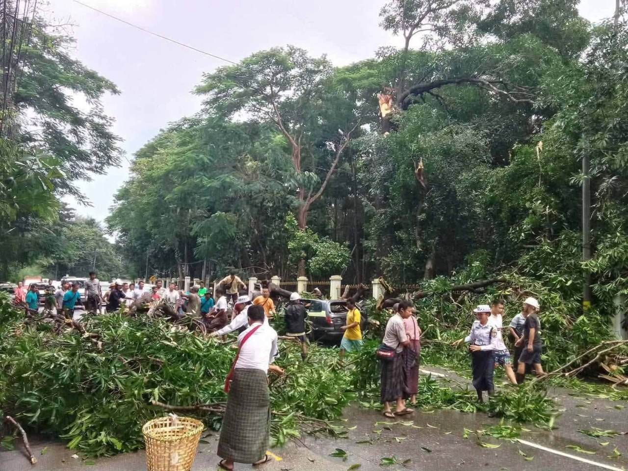 Monsoon rain and strong wind topple trees, inundate homes across Yangon and Naypyidaw