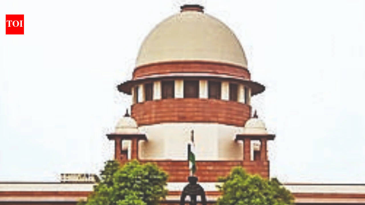 Murder accused takes out 'victory march' after bail, SC tells Haryana cops to produce him in court | India News