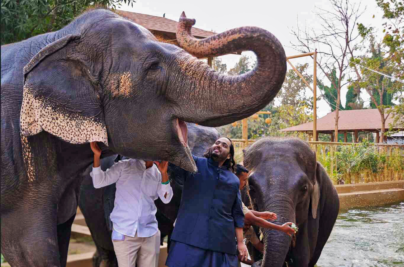 NGOs call on Vantara to end all wild animal imports permanently