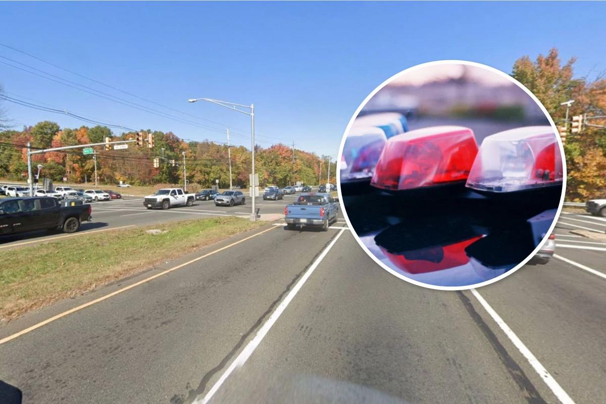 NJ corrections officer gets prison for killing pedestrian on Rt 9