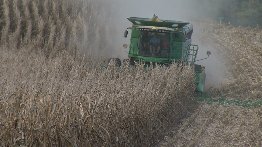 Nebraska Farm Bureau predicts massive loss of profit
