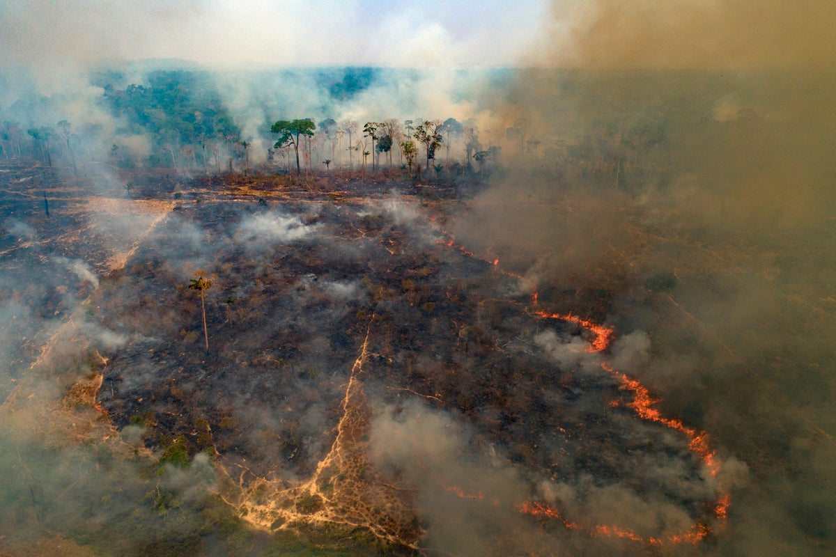 New firefighting fund launches but funding gap remains as wildfires worsen worldwide
