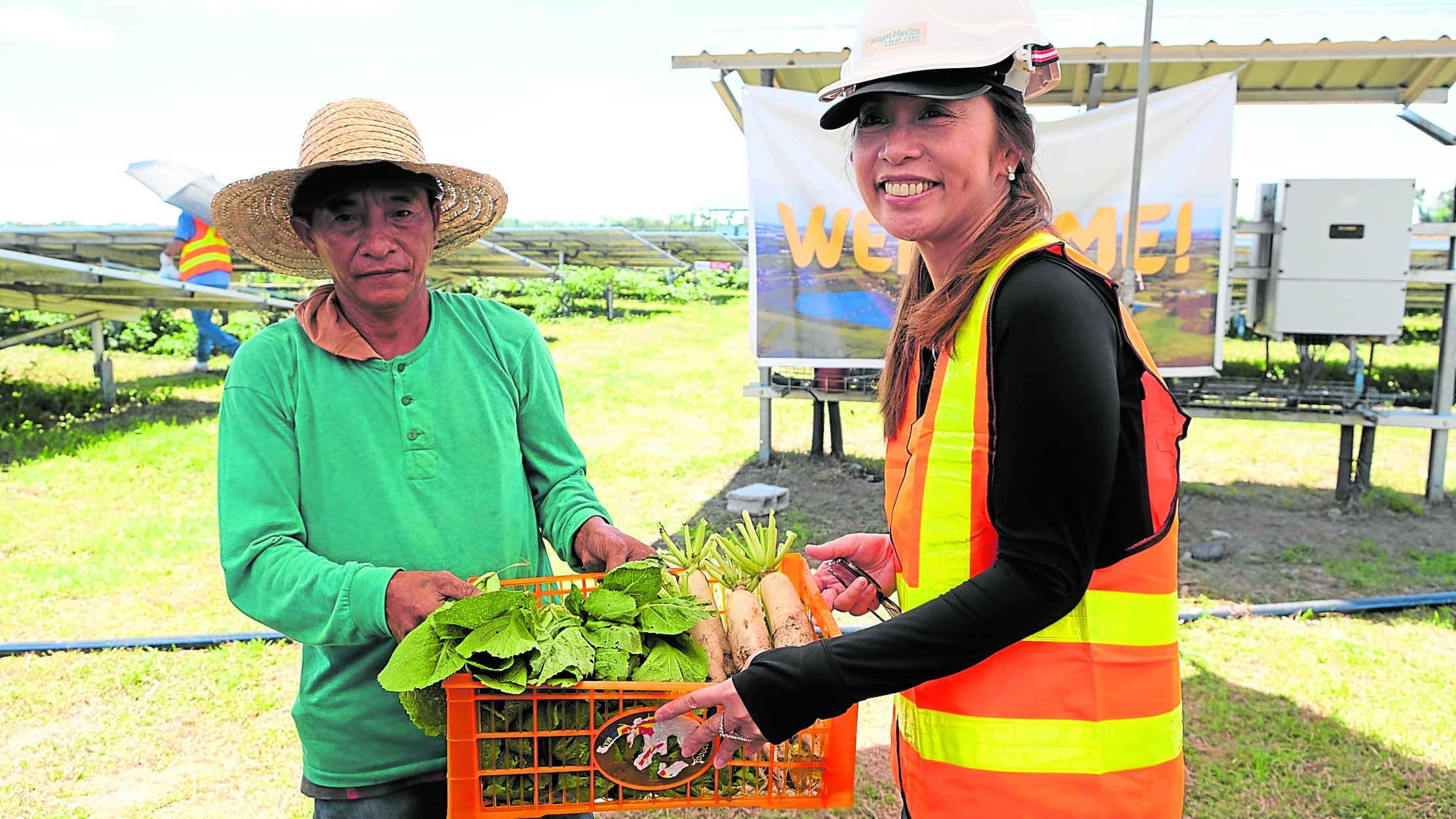 New ‘power play’ for food security