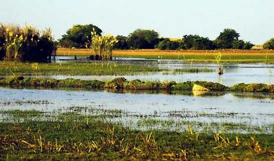 Nine-year-old boy drowns in Milenge river