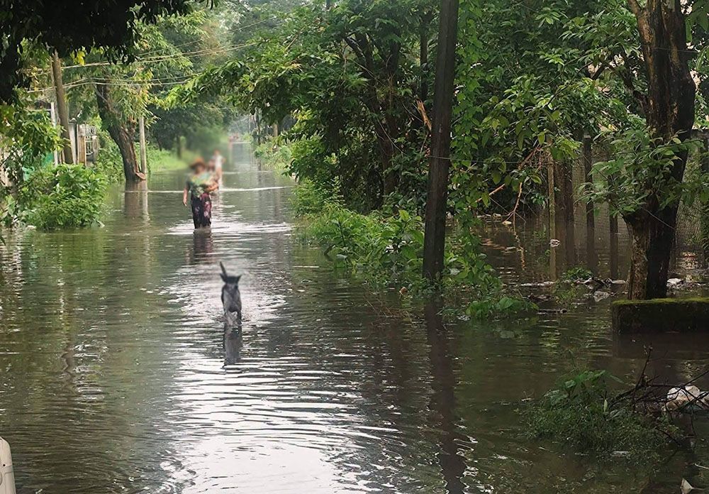 Overflowing dams and rising creeks trigger flash flood warnings across Yangon