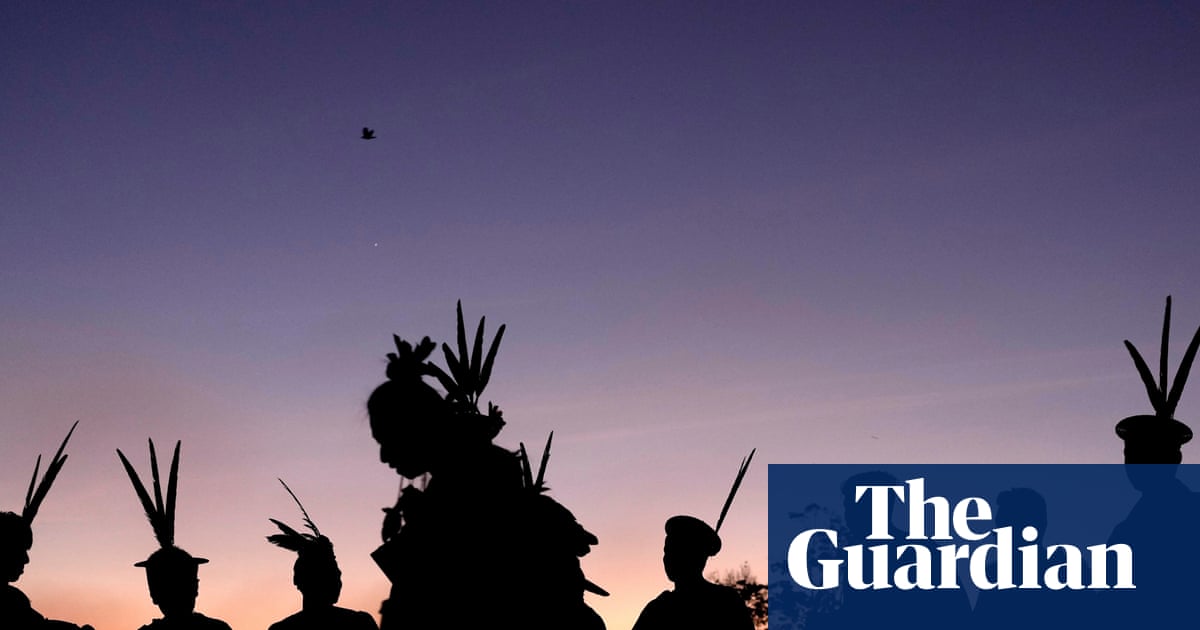 People protecting nature and land set up self-defence units amid threat of murder | Indigenous peoples