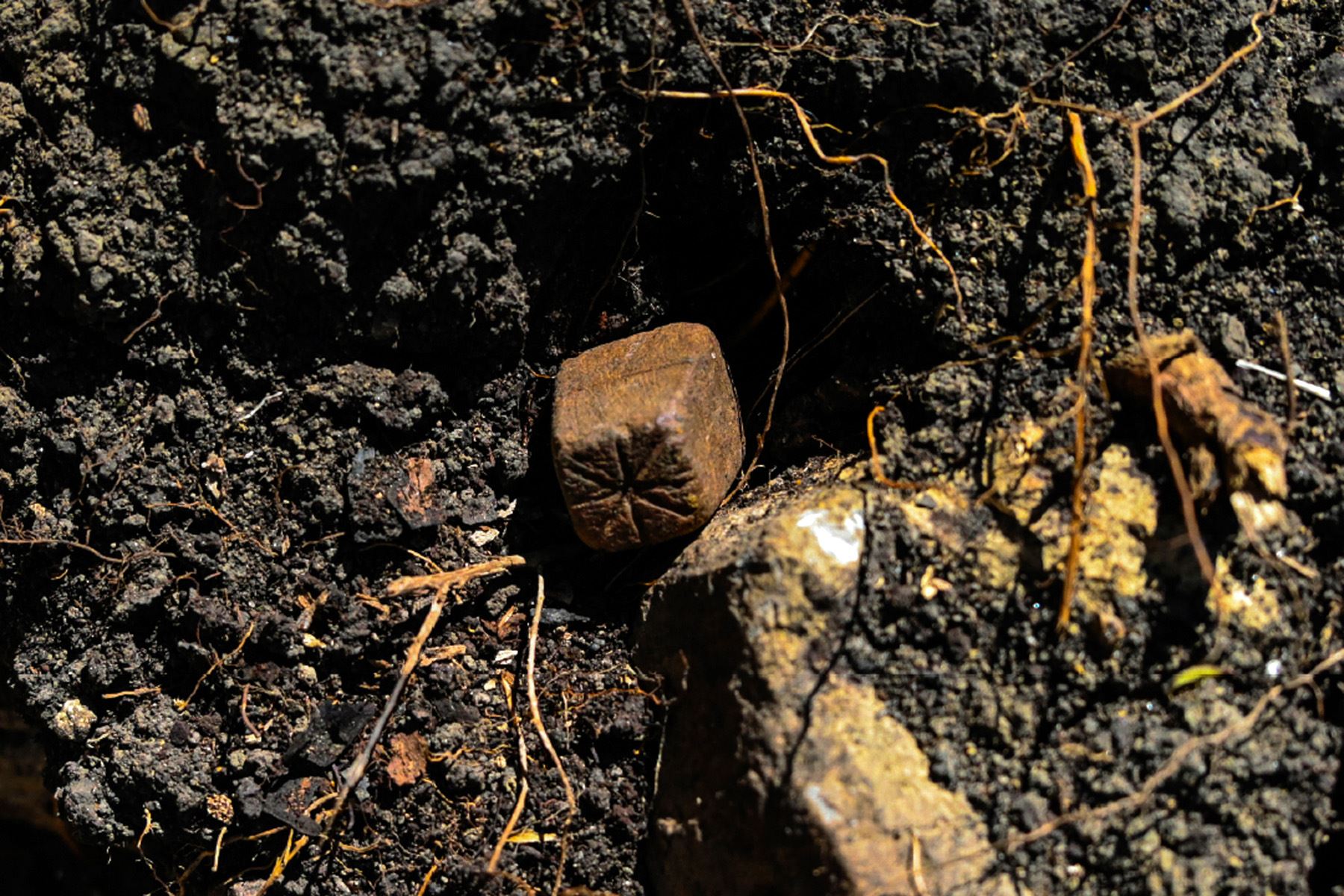 Peru Pre-Hispanic 'die' discovered at Ollape dates to Inca period, may have had ritual use