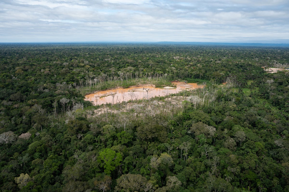 Peru faces human rights court over protections for isolated Indigenous peoples in Amazon