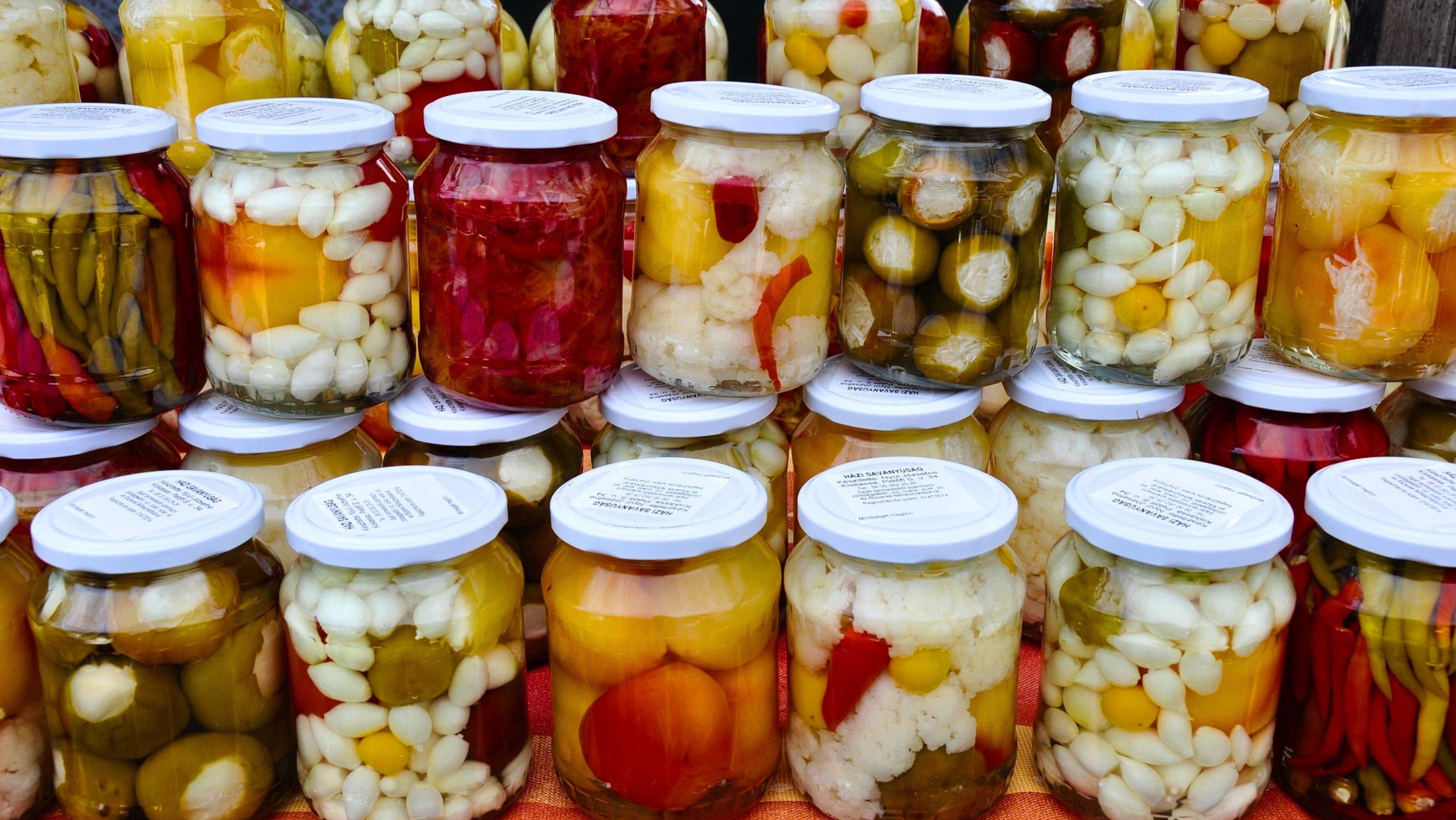 Pickles Prague Festival 2026: Food, Workshops and Music