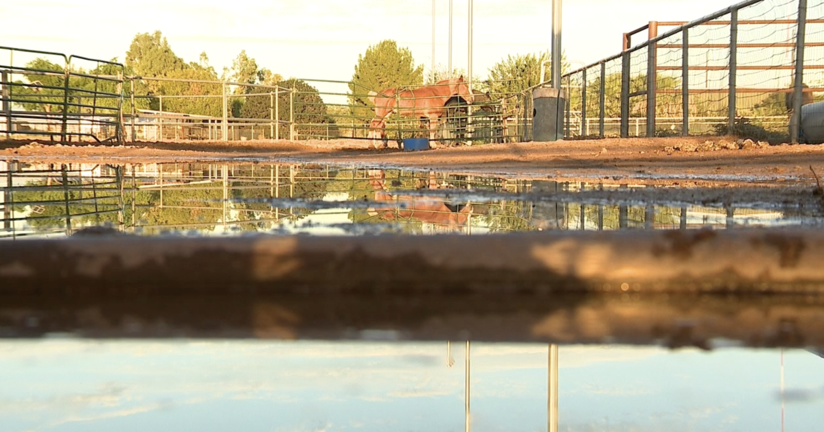 Pinal County farm cleaning up, closed for business after flooding from monsoon