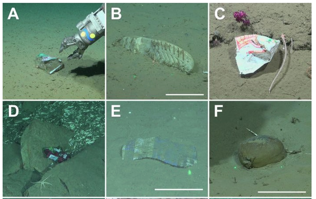 Plastic and rubber litter found in remote submarine canyon off Argentina’s coast