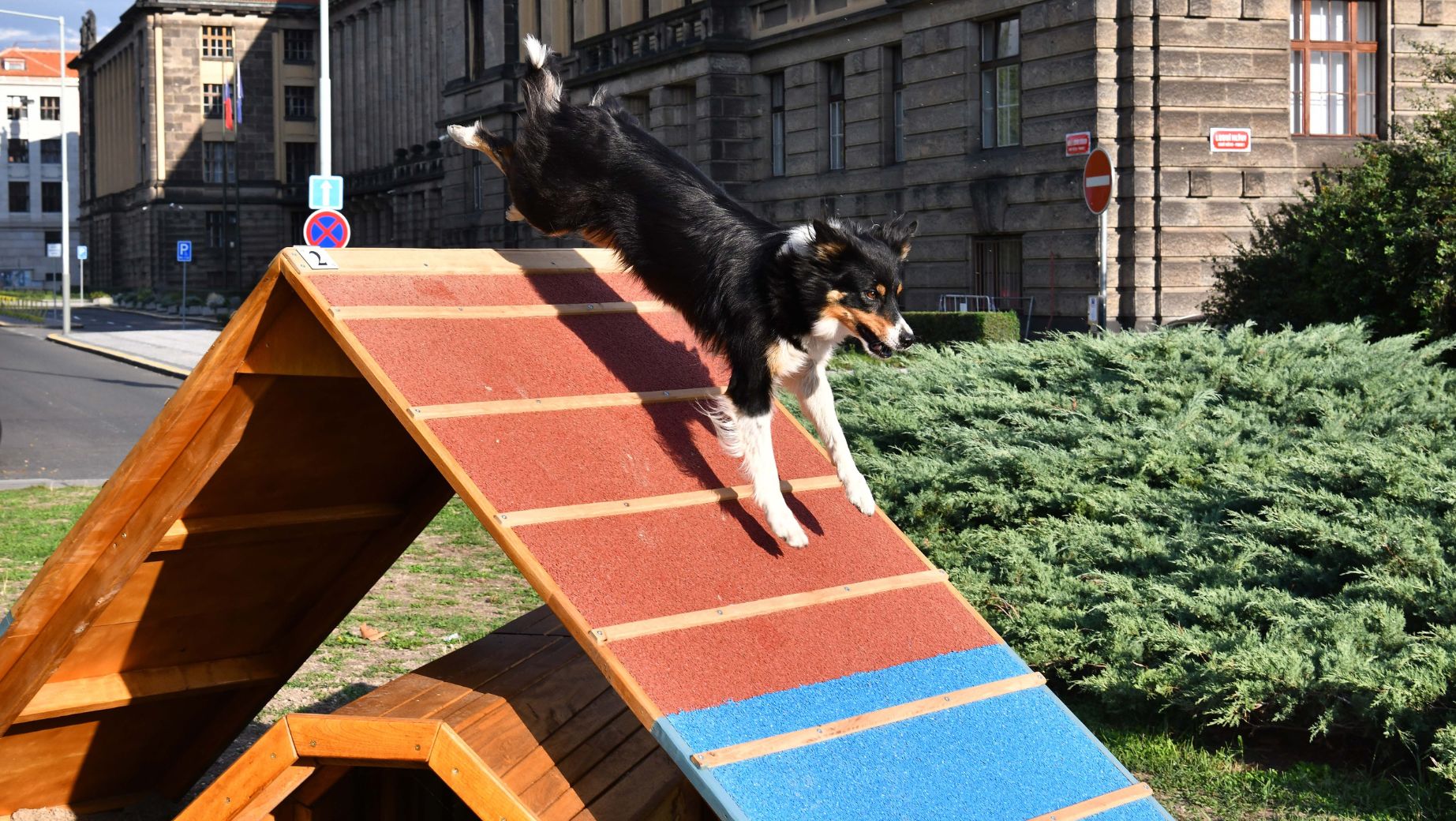 Prague 1 Opens its First Public Dog Playground