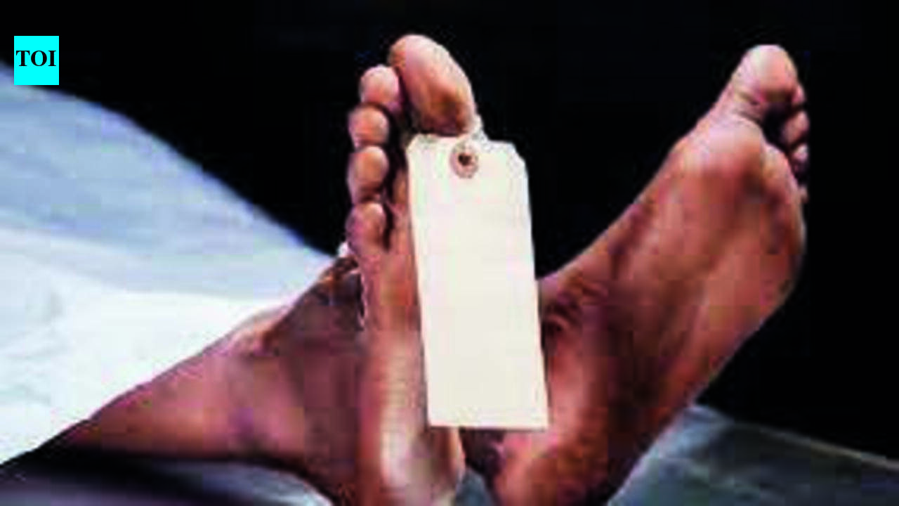 Prayagraj STF arrests wanted murder suspect after 13 months | Prayagraj News