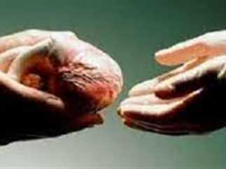 Organ transplant