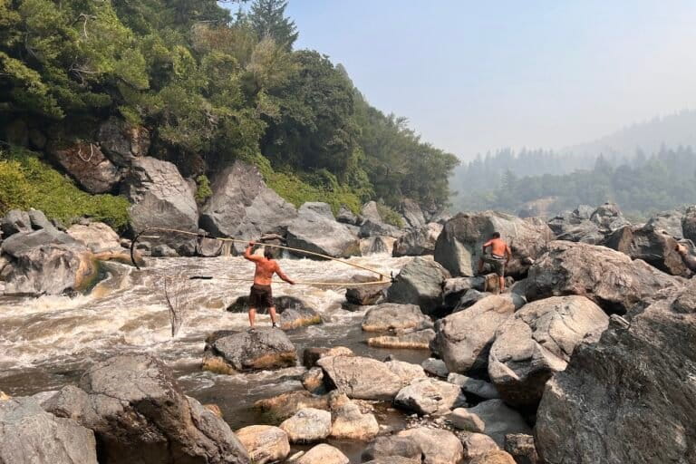 Repeal of U.S. Roadless Rule could threaten drinking water for 25 million people