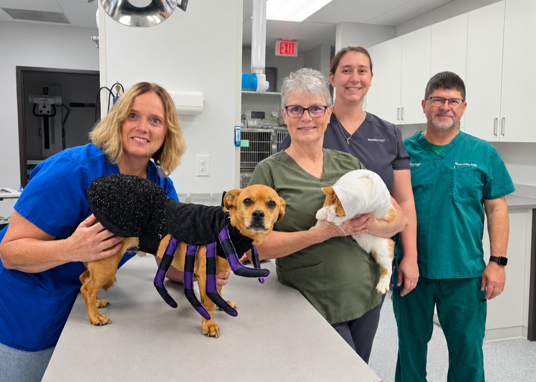 Rugby clinic aids veterinarian shortage -