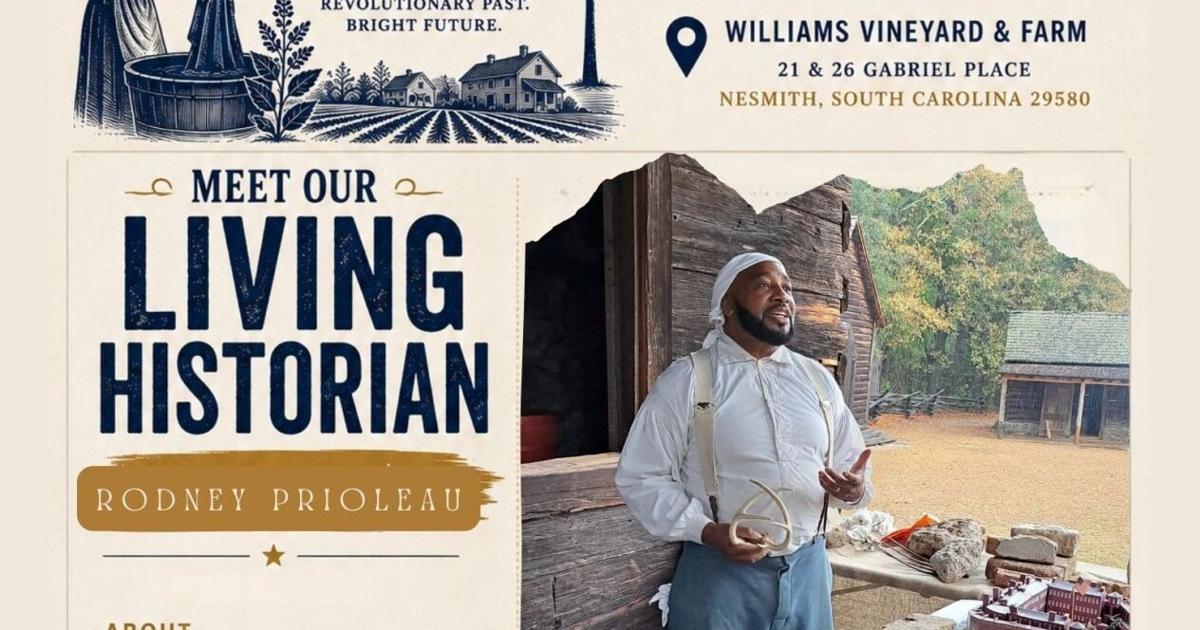 SC250 Indigo Festival brings history, culture to Williams Vineyard & Farm