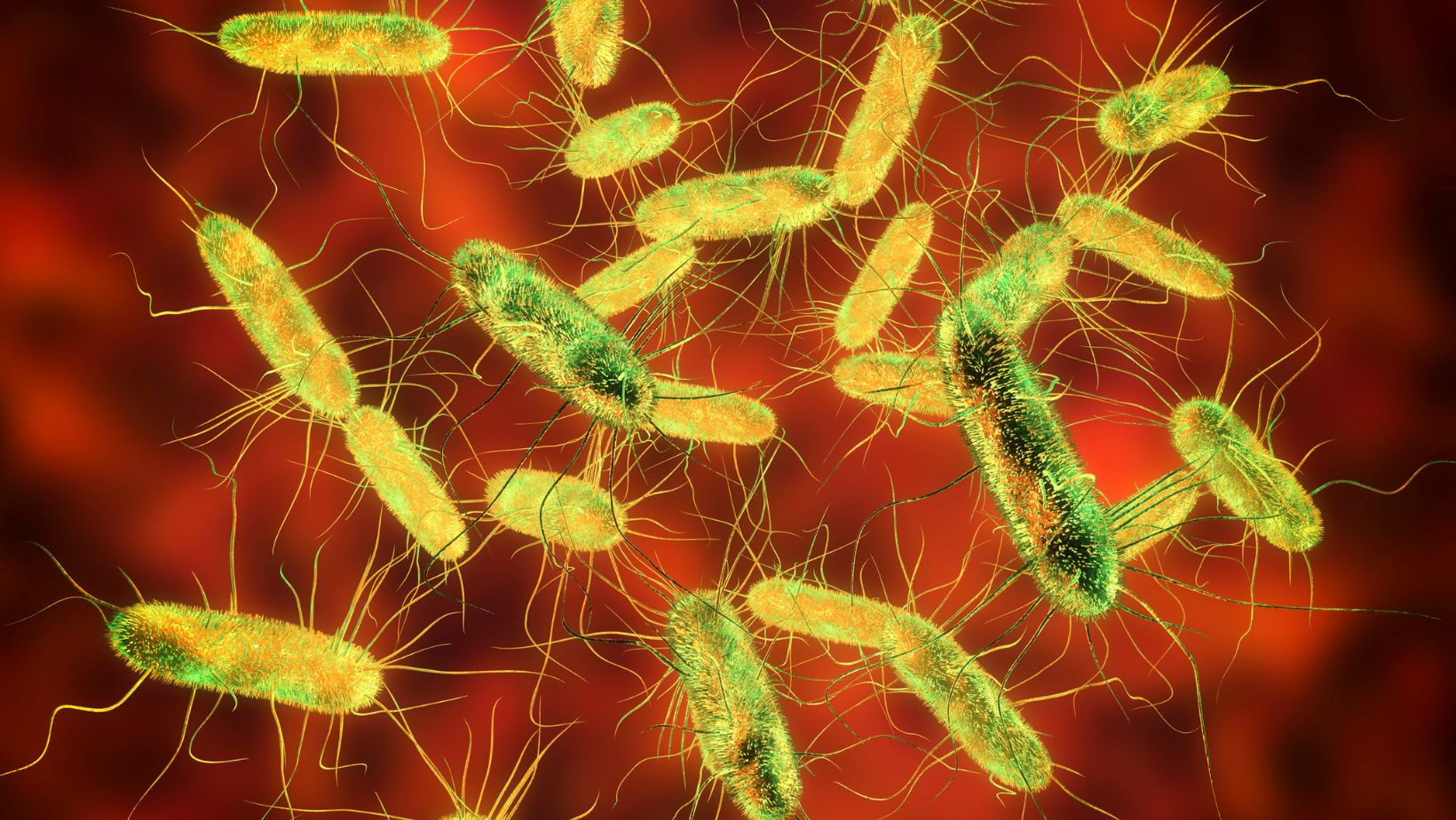 Salmonella Outbreak at Prague School Sickens 250 People