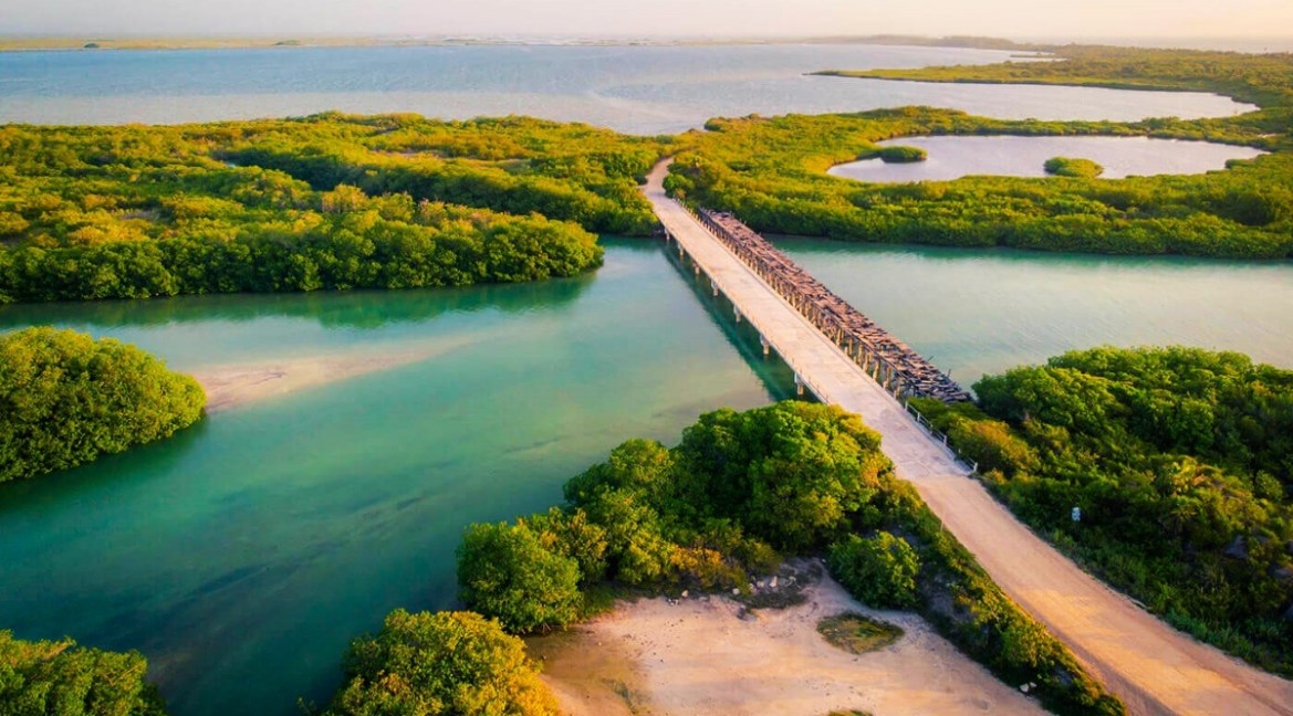Saving Jaguars at the Sian Ka'an Biosphere Reserve in Mexico