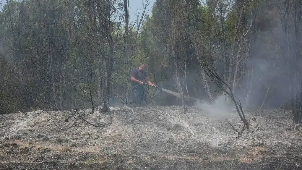 Serbia NGOs Condemn Push to Allow Construction on Fire-Damaged Land