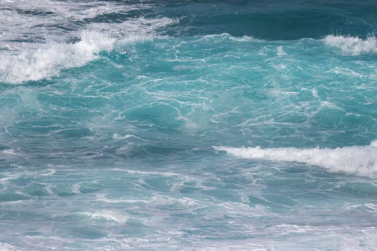 Ship carrying 240 people goes missing in Indonesia; search operation underway