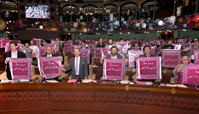 Sindh Assembly rejects provincial 'division' amid MQM-P boycott