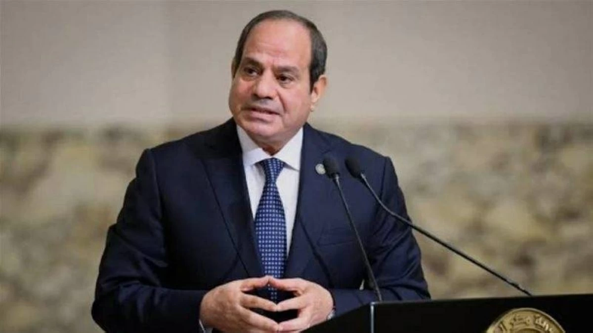 Sisi warns against mounting conspiracy to destabilize Egypt