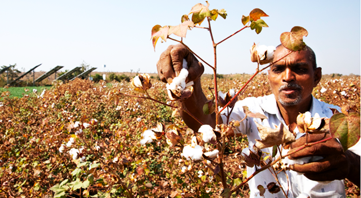 Small AI Transforms Farming in India