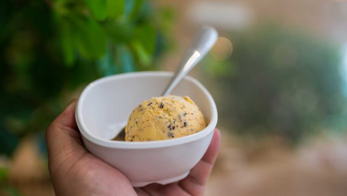 So Delicious recalls frozen dessert nationwide due to possible stones, hard items inside