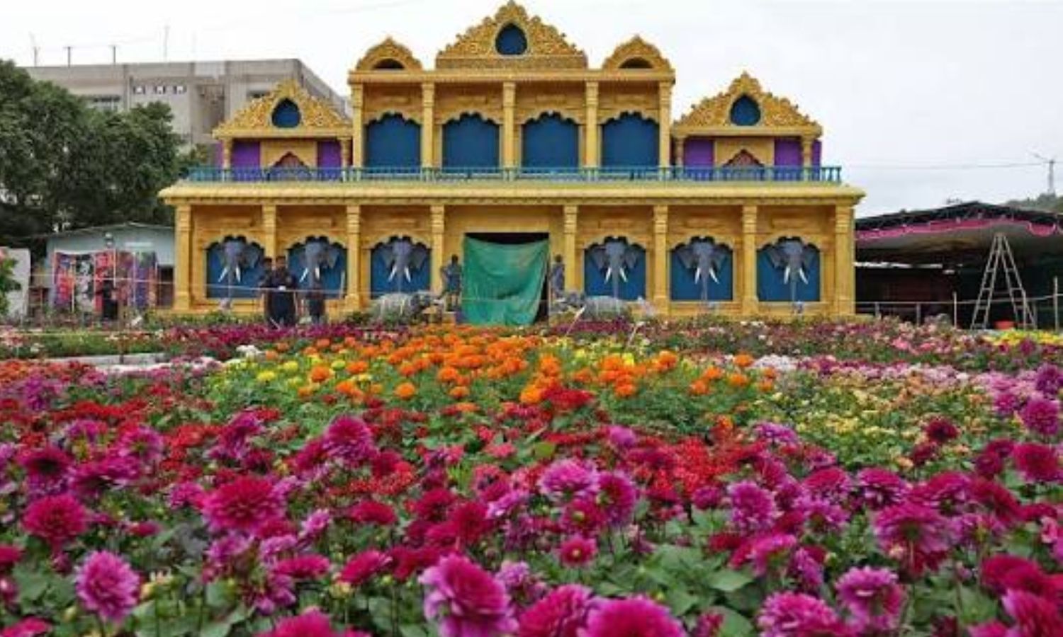 Special flower exhibition launched at Tirumala Kalyana Vedika