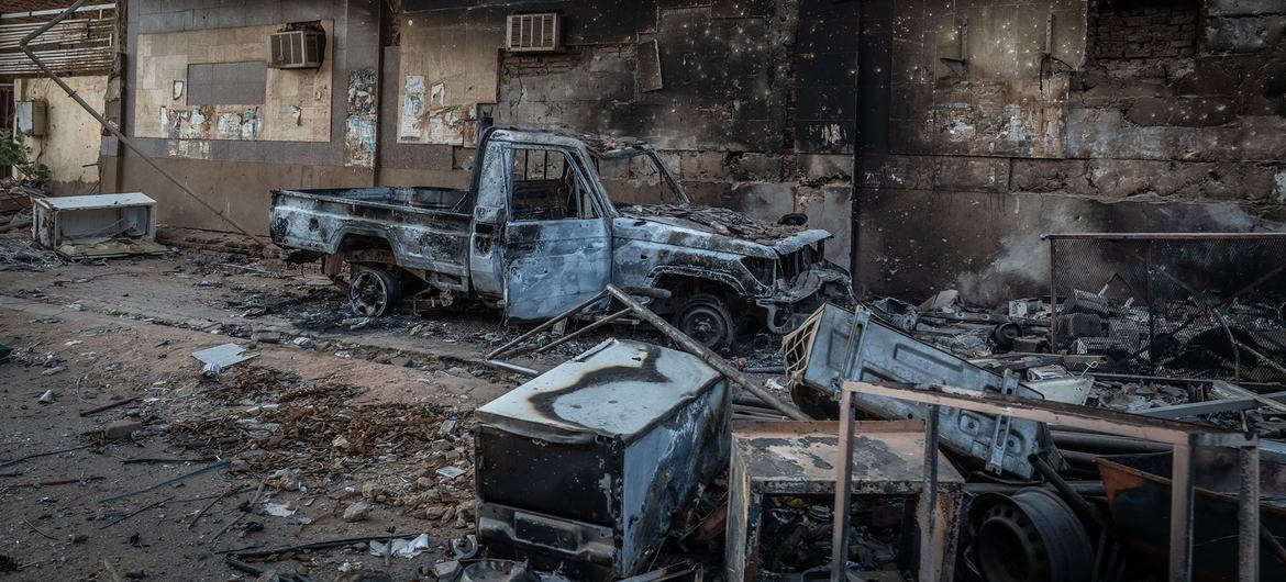 Sudan doctors warn of health catastrophe as disease spreads