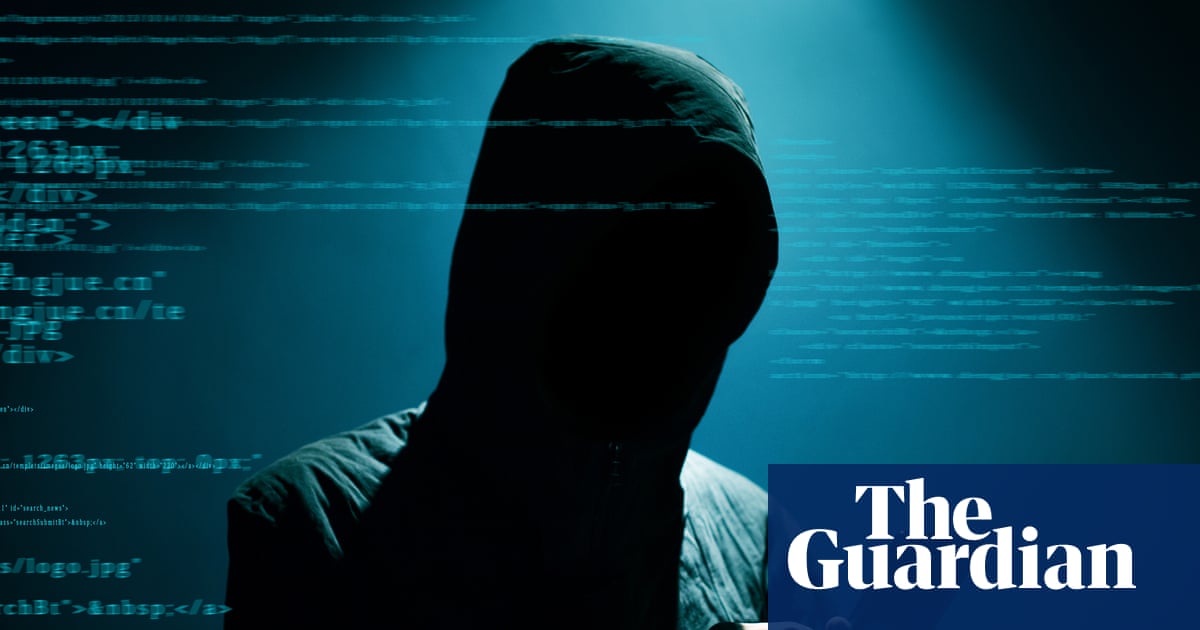Swedish teenager jailed for attempted murder, rape and assault committed online, with victims in Germany and Australia | Cybercrime