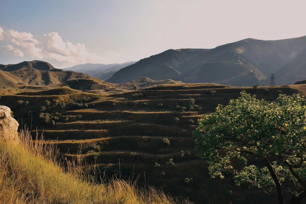 Tajikistan's Practices in Combating Land Degradation Have Attracted the Interest of the International Community
