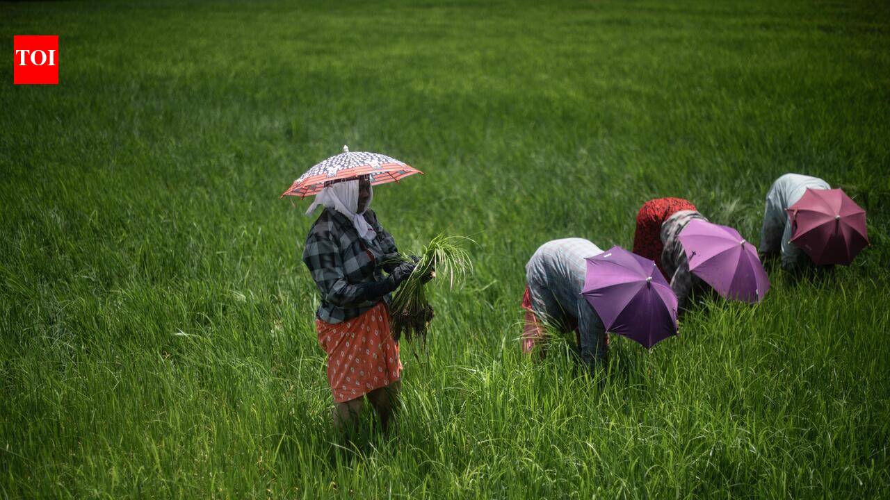 Tech assts to guide farmers to adavnce farming, fertlizer mgmt | Prayagraj News