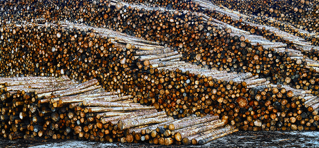 The EU approved an antideforestation law. The US paper lobby sought to weaken it