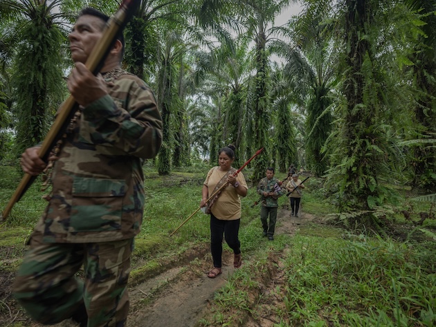 The Mass Killing of Environmental Defenders