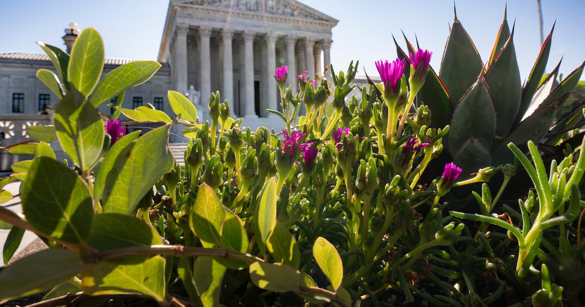 Trump administration turns to Supreme Court as third-country deportations are thrown into question