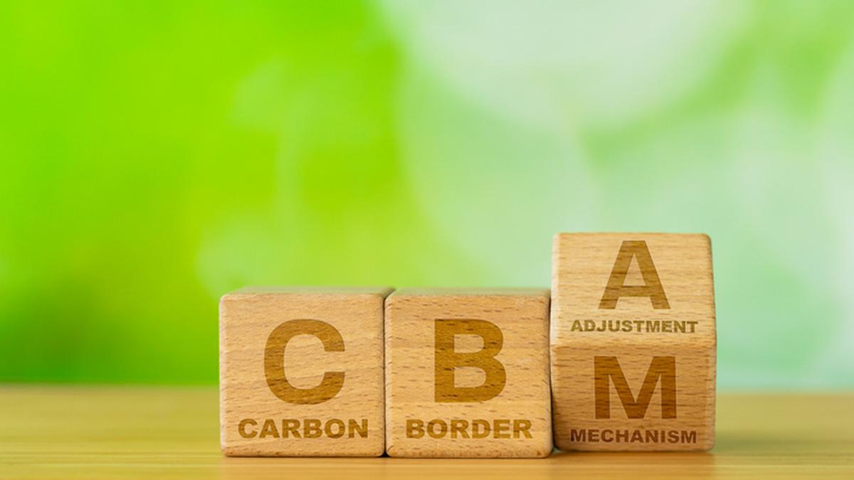 U.K. recognises India's carbon credit scheme under its carbon tax mechanism: official