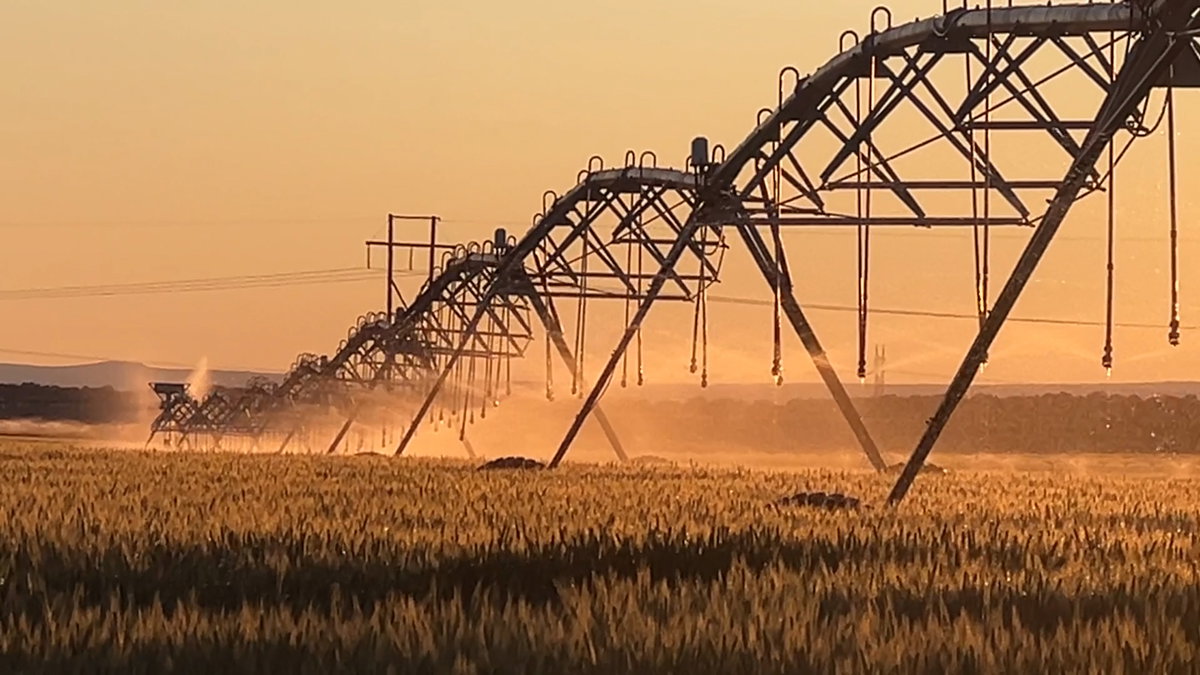 Utah Farmers Face Financial Crisis Amid Crop Losses - LocalNews8.com