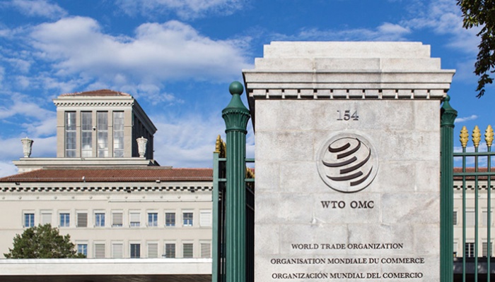 WTO panel finds Turkey’s taxes, import curbs on Chinese EVs violate trade rules