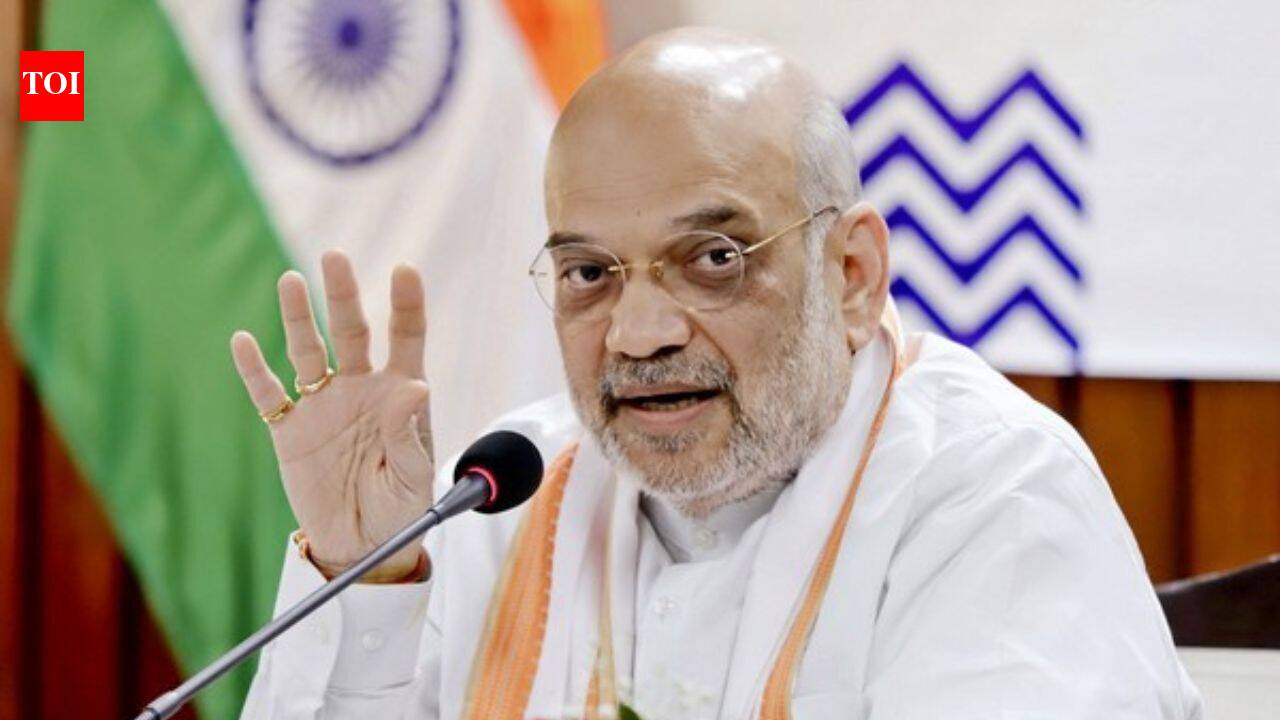 'We eradicated Naxalism, will eliminate narcotics': Amit Shah on drug-free India by 2029 | India News