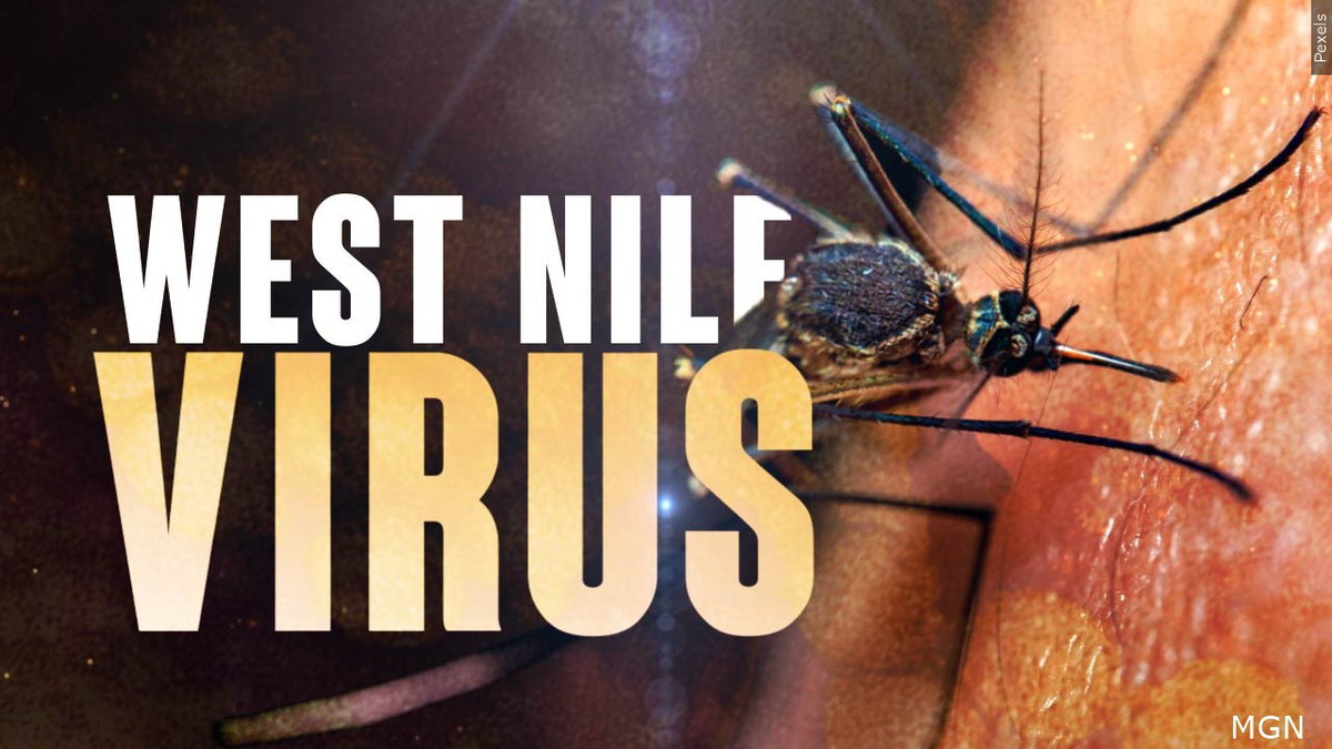 West Nile Virus Detected in South Bannock County Mosquito Pool - LocalNews8.com