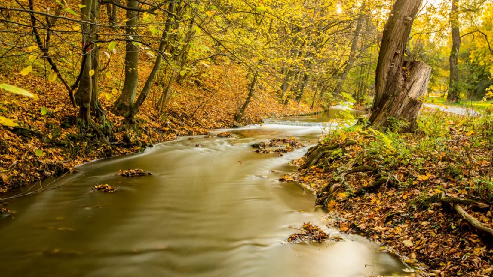 Where to See Prague’s Best Autumn Colors