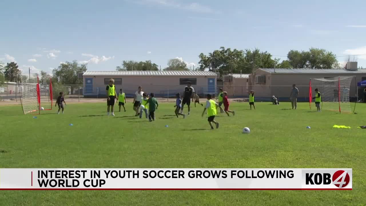 World Cup excitement gives boost to youth soccer
